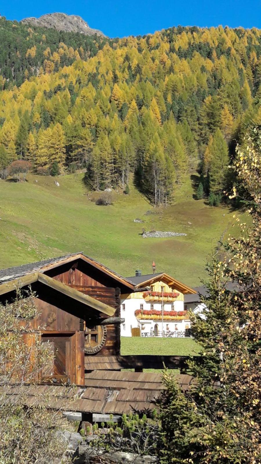 Mooserhof Campo Tures Dış mekan fotoğraf