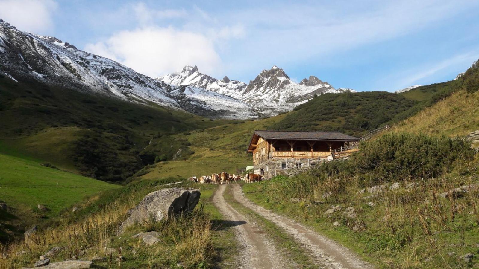Mooserhof Campo Tures Dış mekan fotoğraf